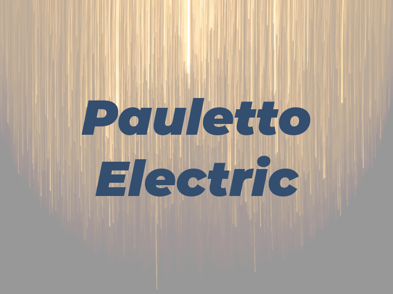 Pauletto Electric