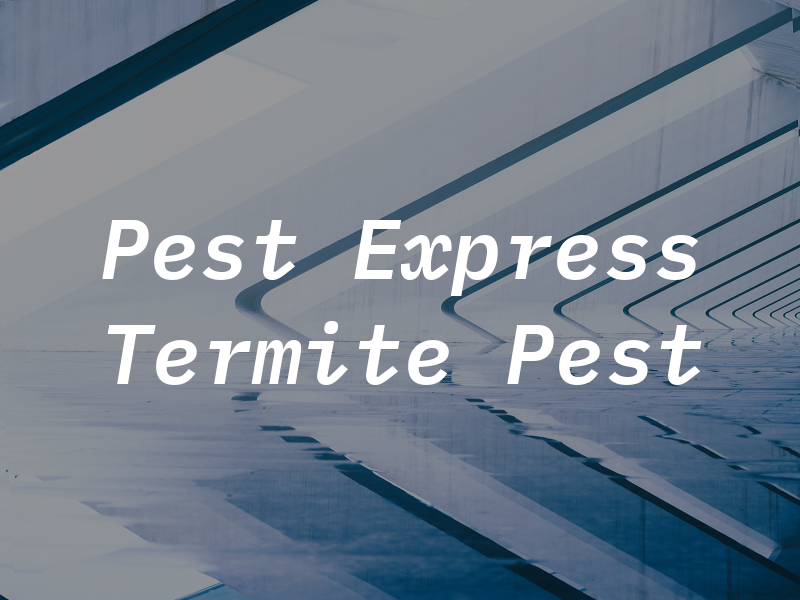 Pest Express Termite & Pest