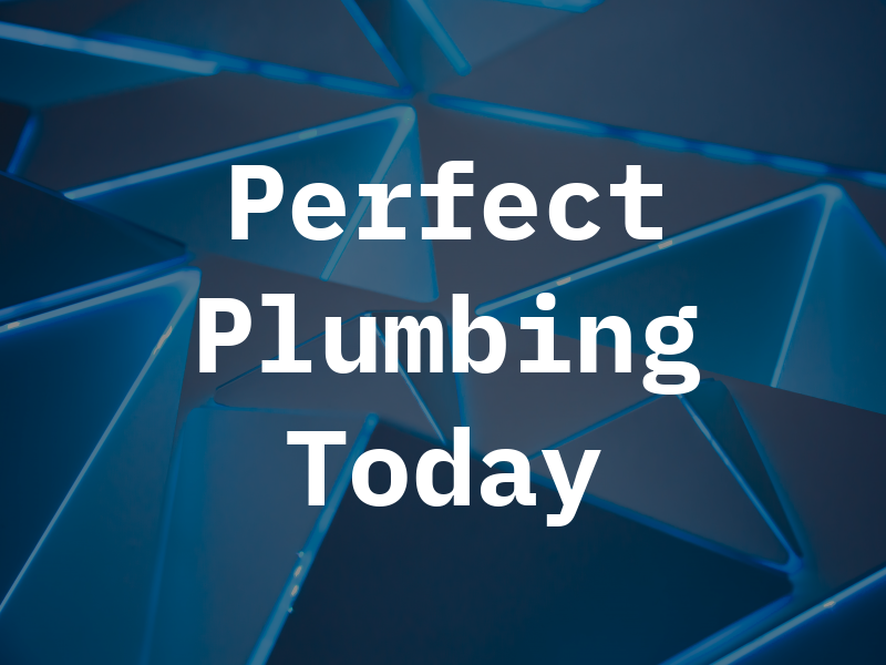 Perfect Plumbing Today