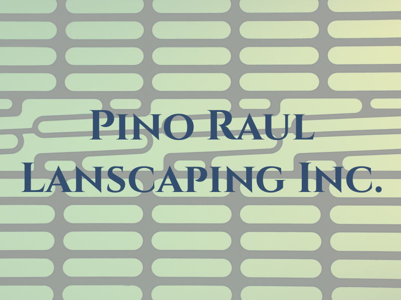 Pino and Raul Lanscaping Inc.