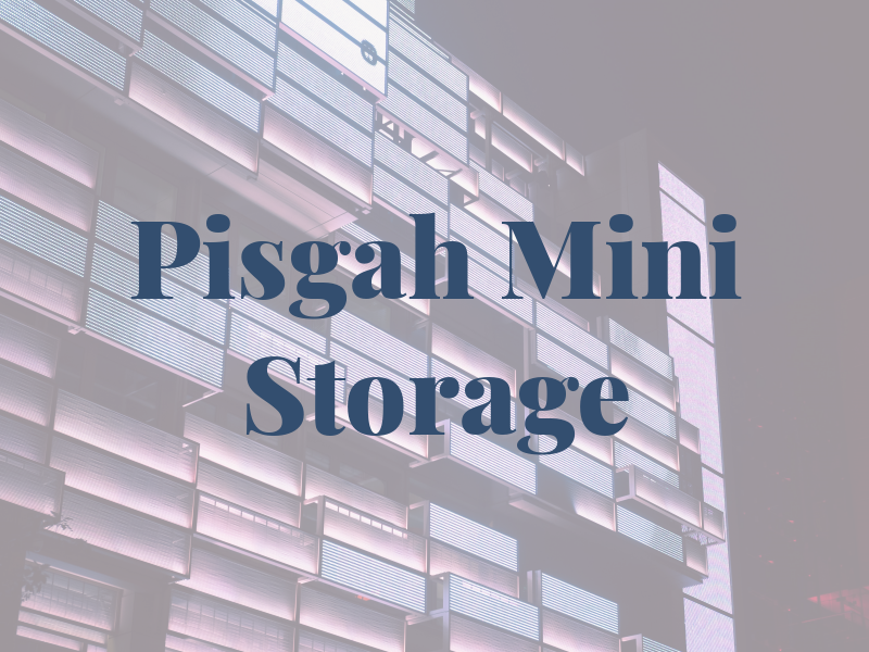 Pisgah Mini Storage LLC
