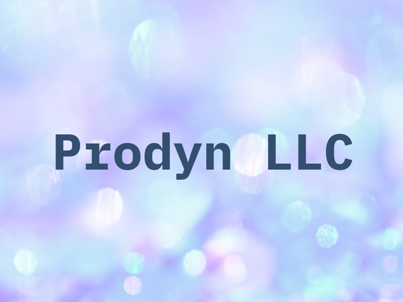 Prodyn LLC