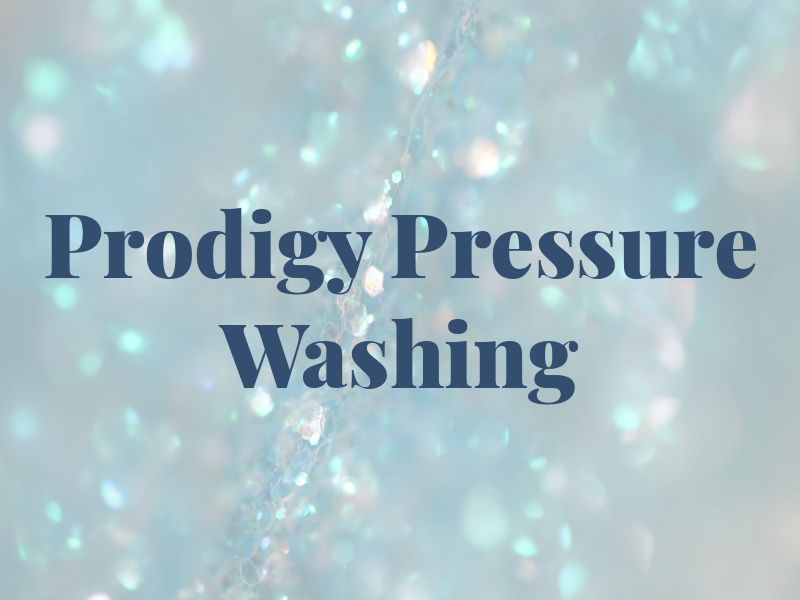 Prodigy Pressure Washing