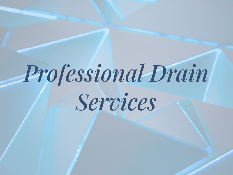 Professional Drain Services Inc