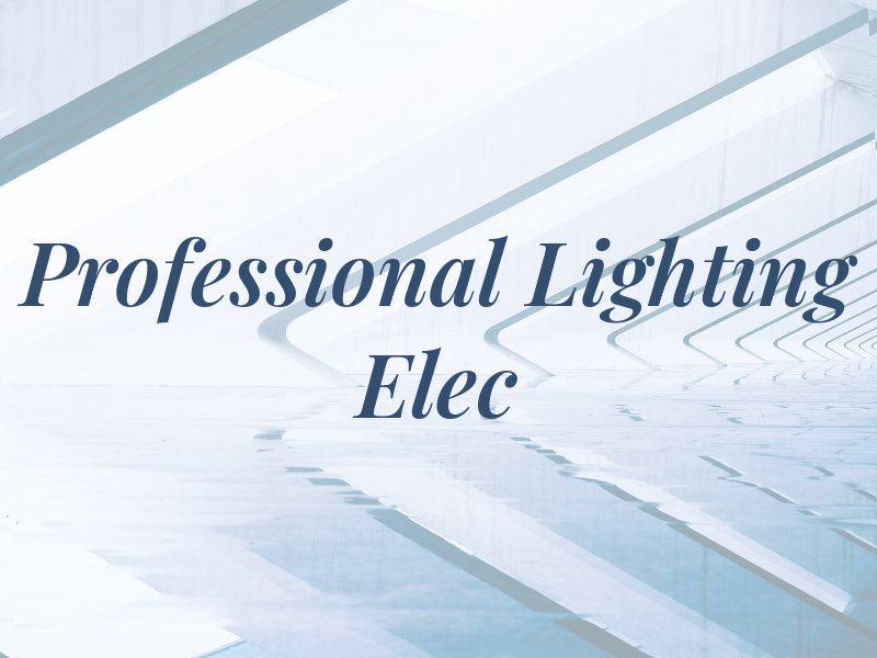 Professional Lighting & Elec