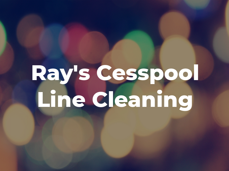 Ray's Cesspool & Line Cleaning