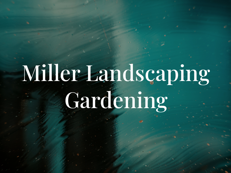 Roy Miller Landscaping & Gardening