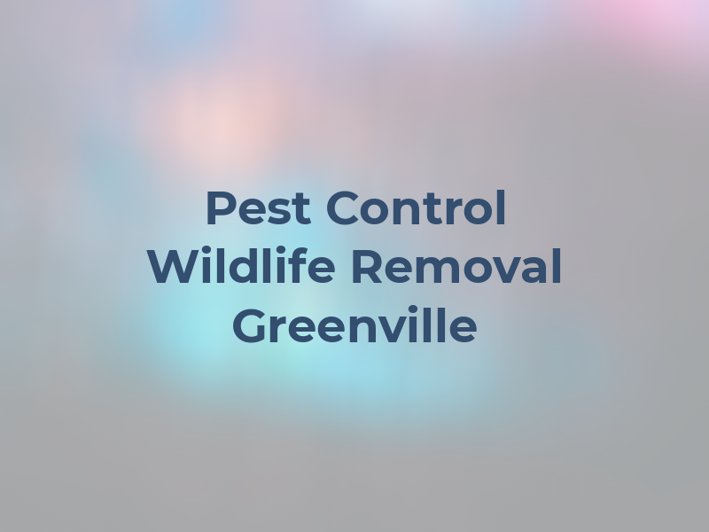 S & Y Pest Control Wildlife Removal Greenville