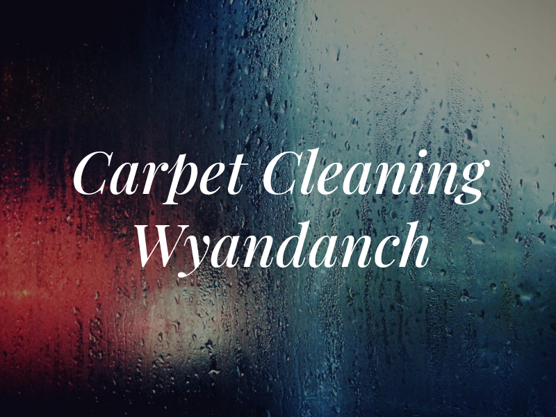 S and P Carpet Cleaning Wyandanch