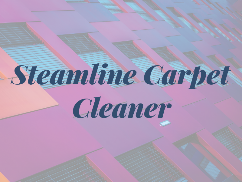 Steamline Carpet Cleaner