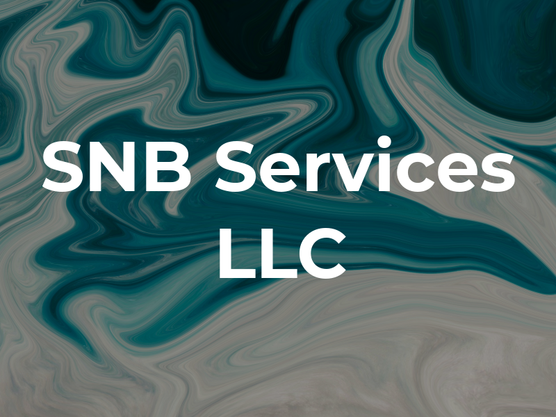 SNB Services LLC