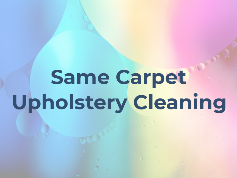 Same Day Carpet & Upholstery Cleaning