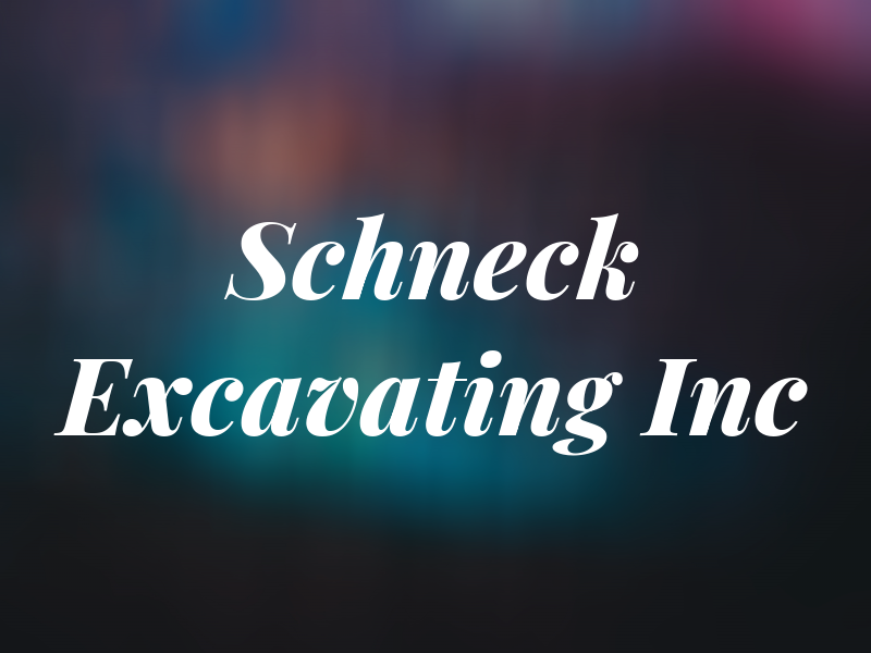Schneck Excavating Inc