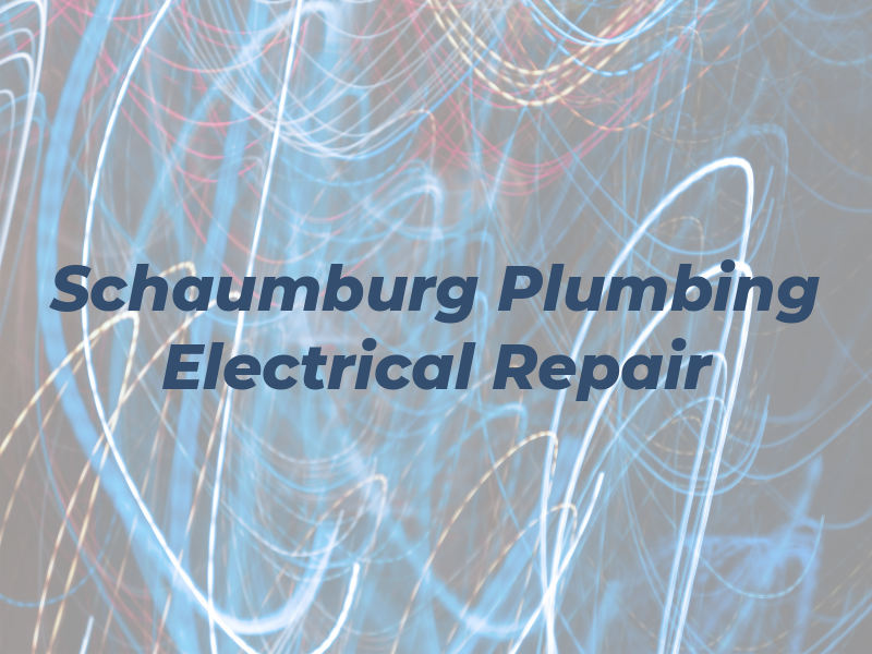 Schaumburg Plumbing & Electrical Repair Inc