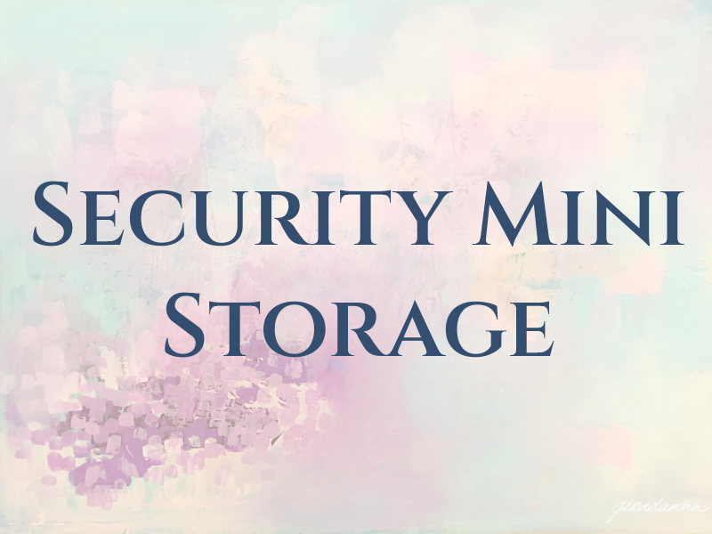 Security Mini Storage