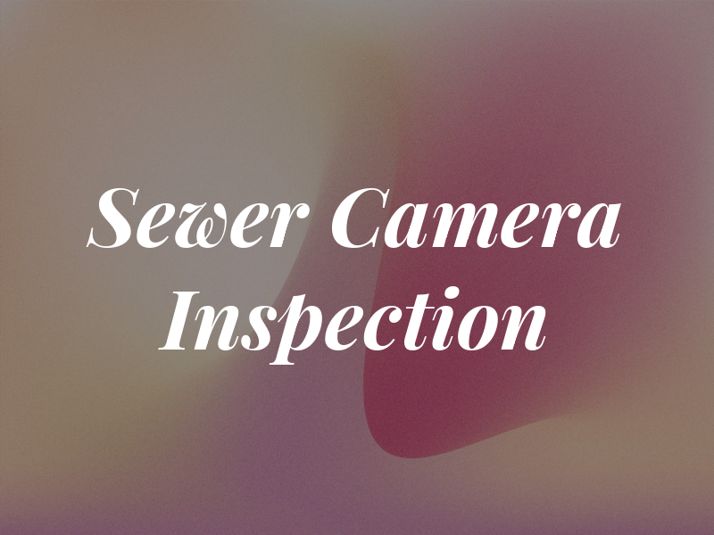 Sewer Camera Inspection