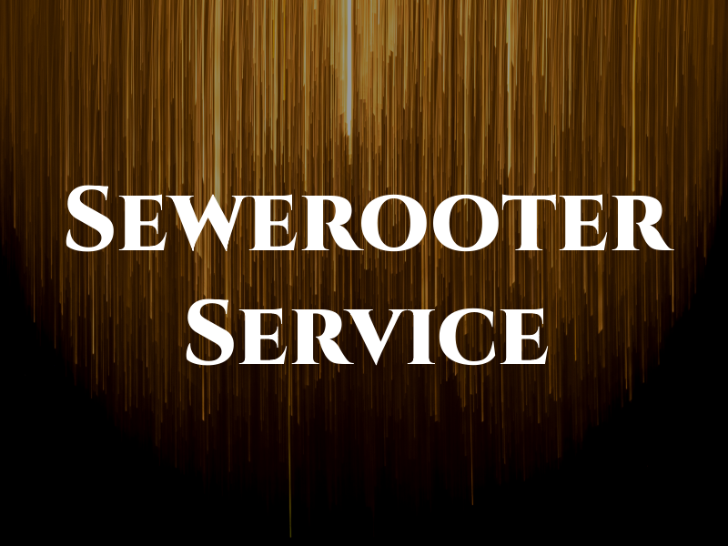 Sewerooter Service