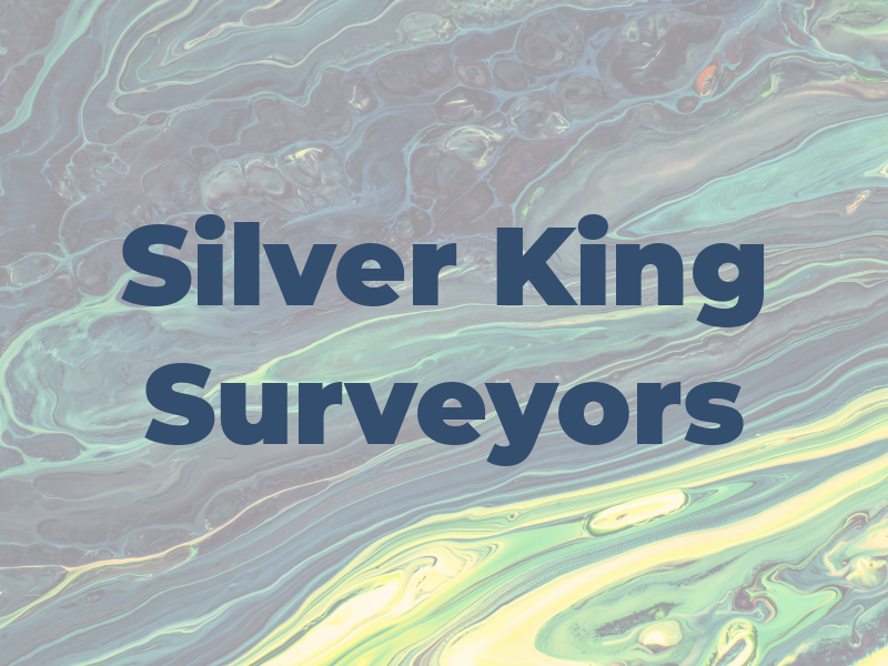 Silver King Surveyors