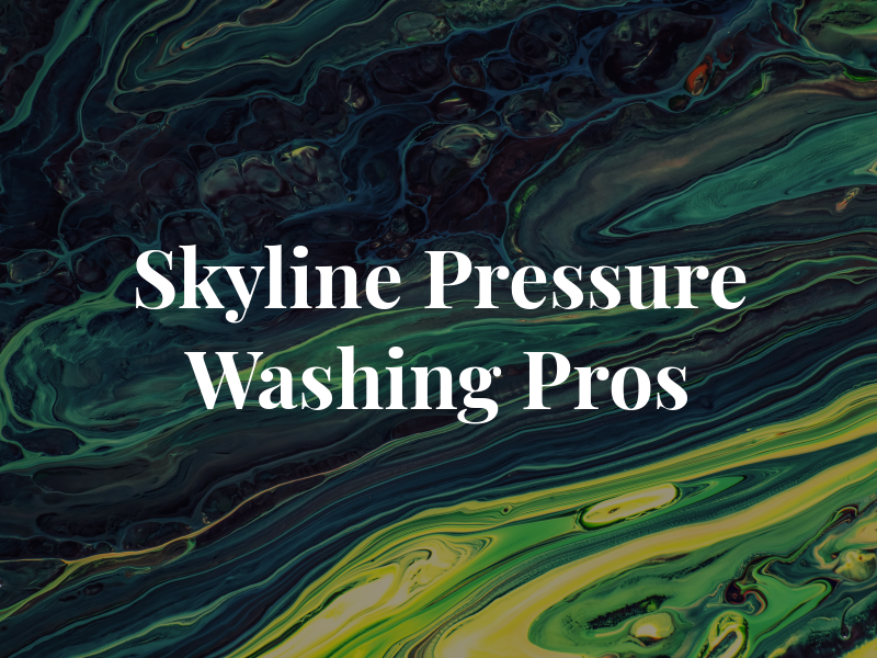 Skyline Pressure Washing Pros