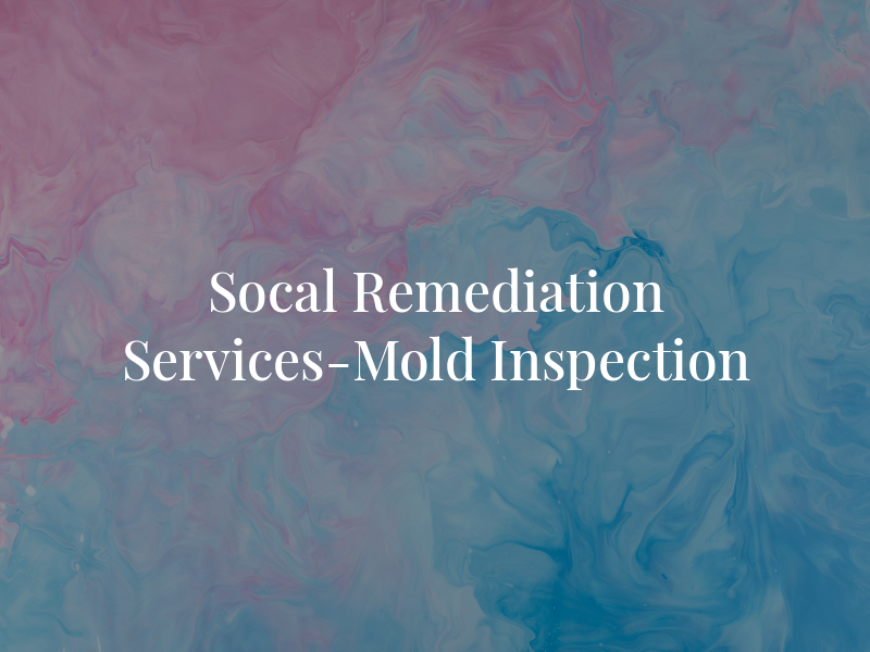Socal Remediation Services-Mold Inspection