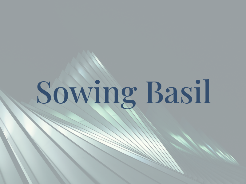 Sowing Basil