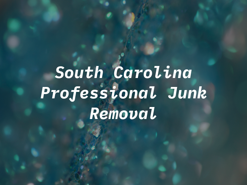 South Carolina Professional Junk Removal