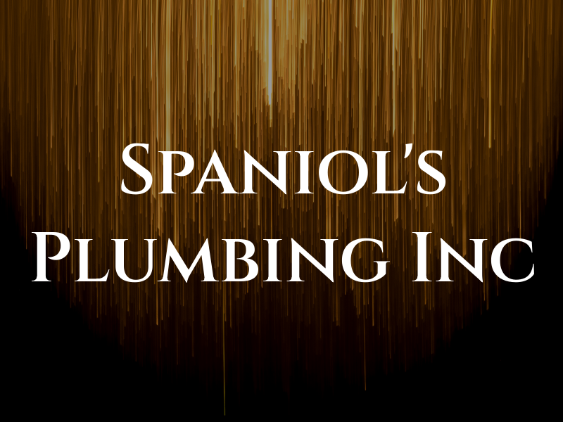 Spaniol's Plumbing Inc