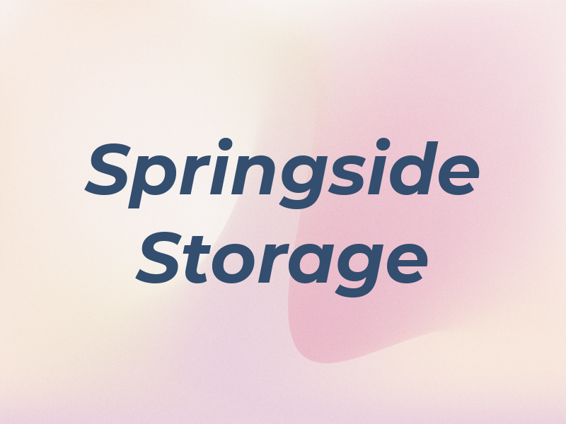 Springside Storage