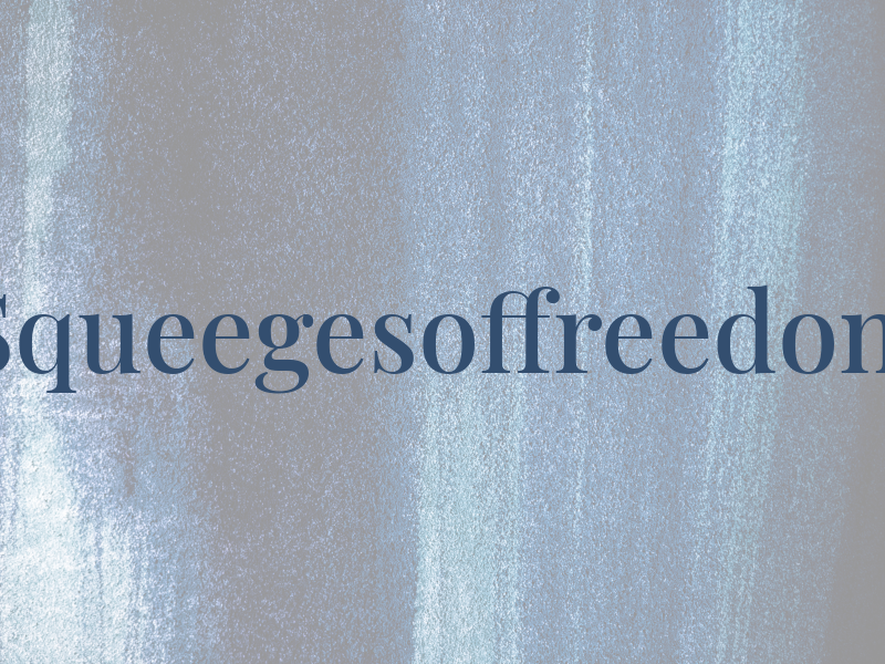 Squeegesoffreedom