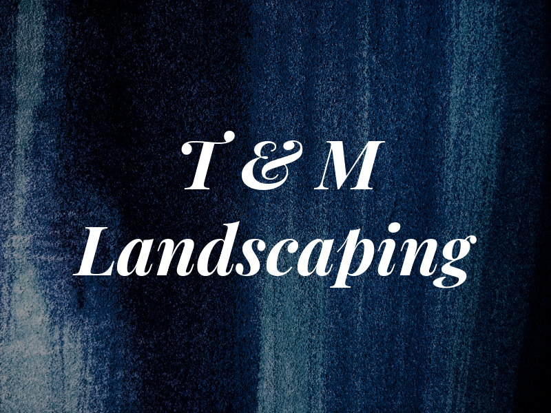 T & M Landscaping