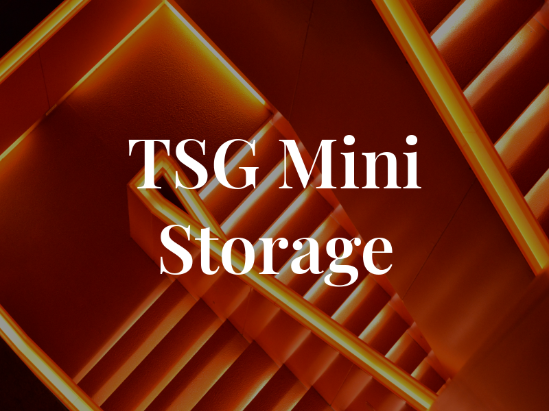 TSG Mini Storage