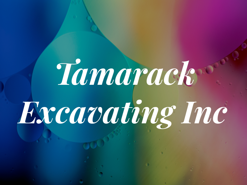 Tamarack Excavating Inc