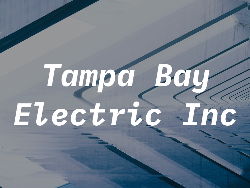 Tampa Bay Electric Inc