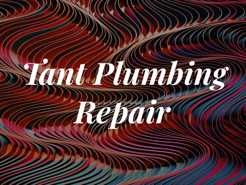 Tant TJ Plumbing Repair