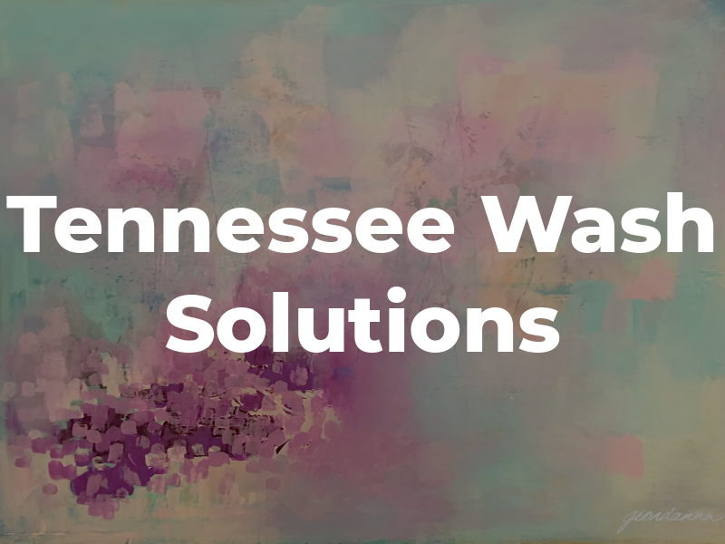 Tennessee Pro Wash Solutions