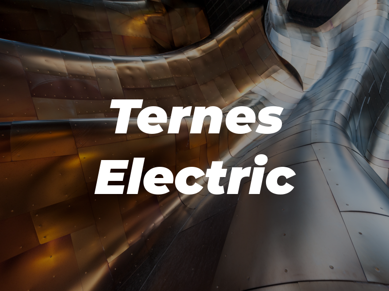 Ternes Electric