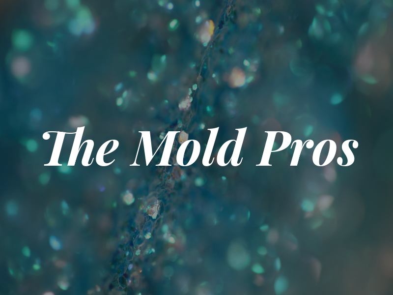 The Mold Pros