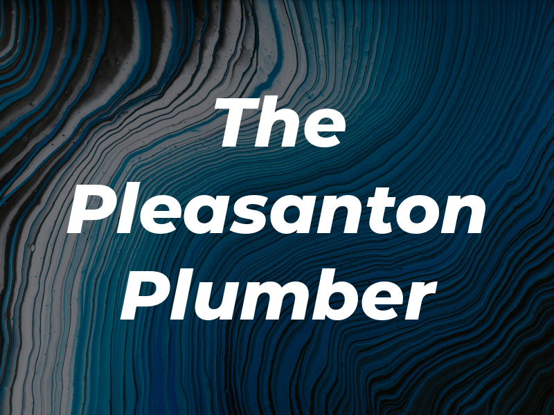The Pleasanton Plumber
