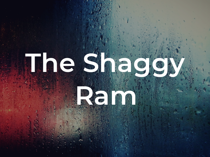 The Shaggy Ram