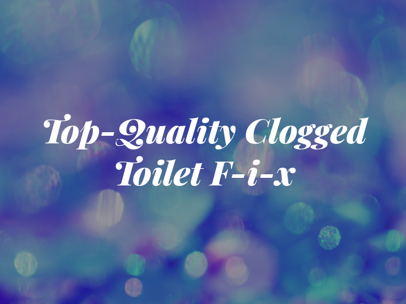 Top-Quality Clogged Toilet F-i-x