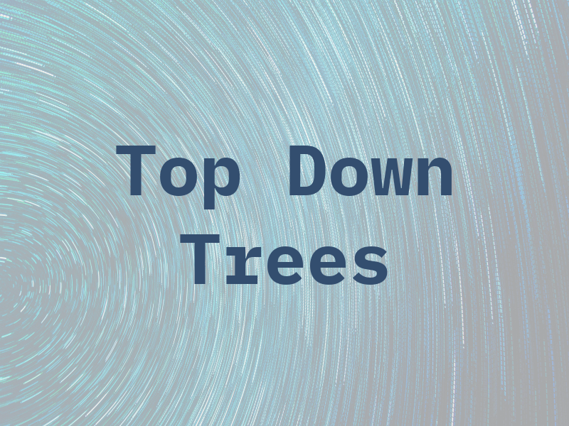 Top Down Trees
