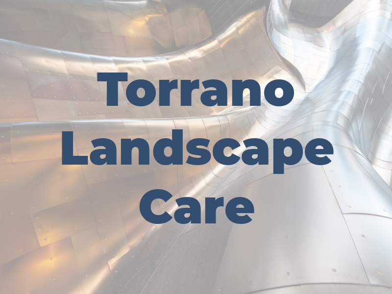 Torrano Landscape Care
