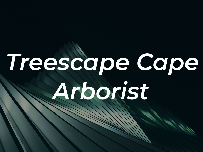 Treescape Cape Cod Arborist
