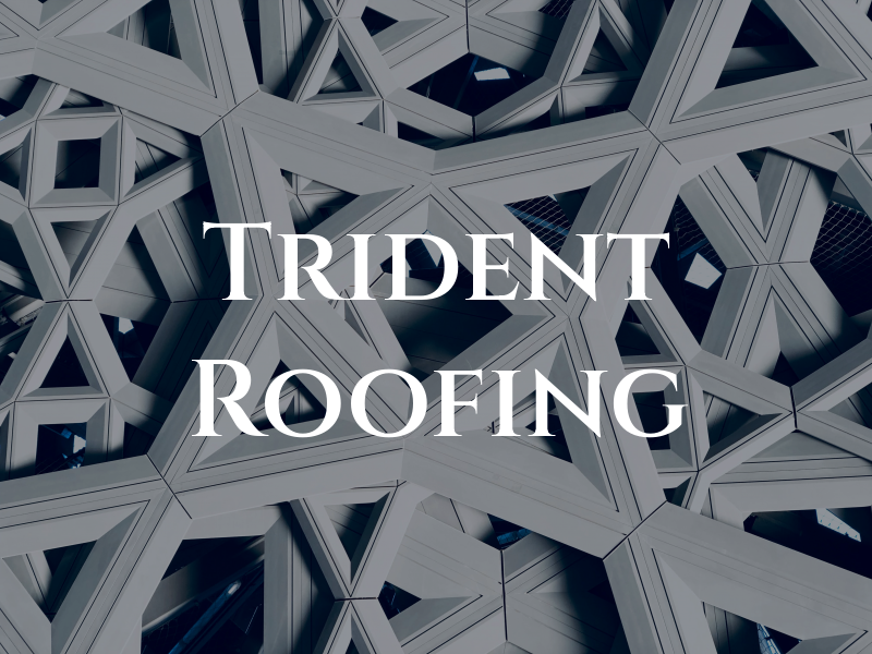 Trident Roofing