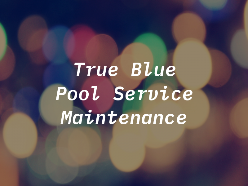 True Blue Pool Service and Maintenance