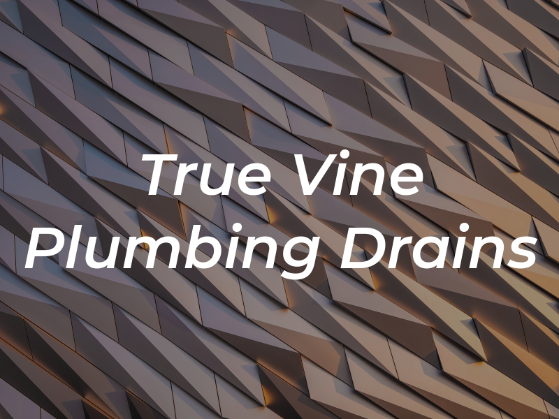 True Vine Plumbing & Drains