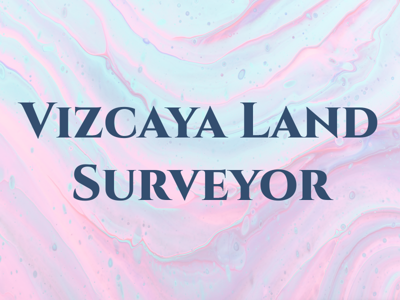 Vizcaya Land Surveyor Inc