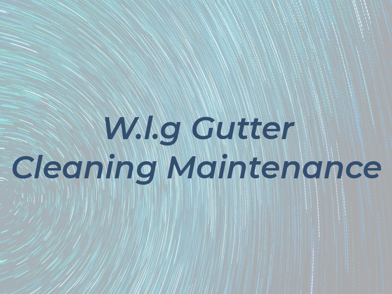W.l.g Gutter Cleaning & Maintenance