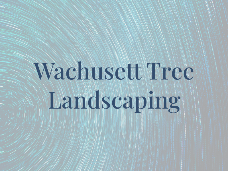 Wachusett Tree & Landscaping
