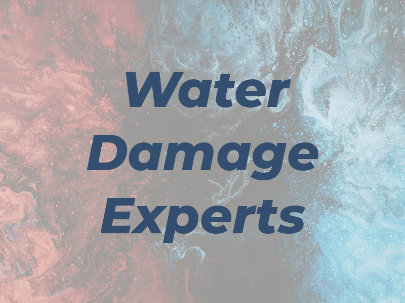 Water Damage Experts